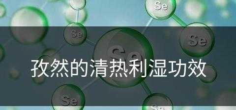 孜然的清热利湿功效